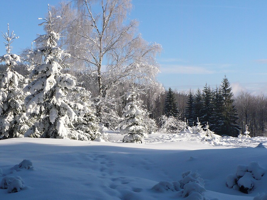 img00006.jpg