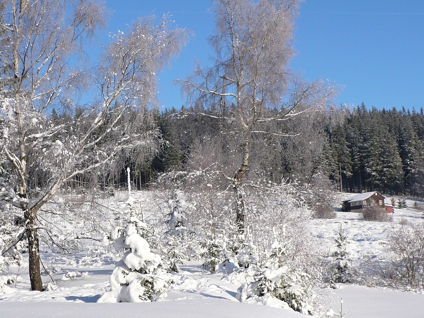 img00007.jpg