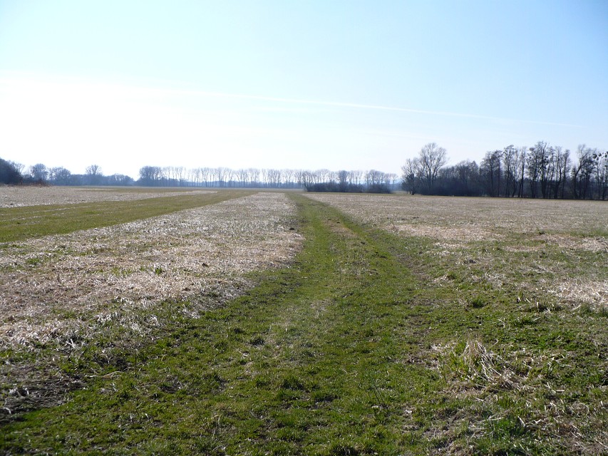 img00082.jpg