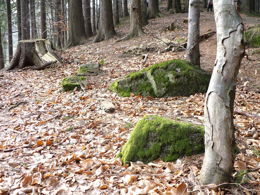 img00012.jpg