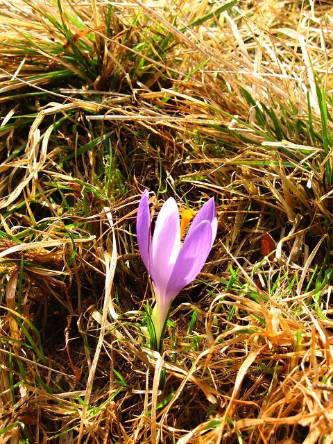 img00019.jpg