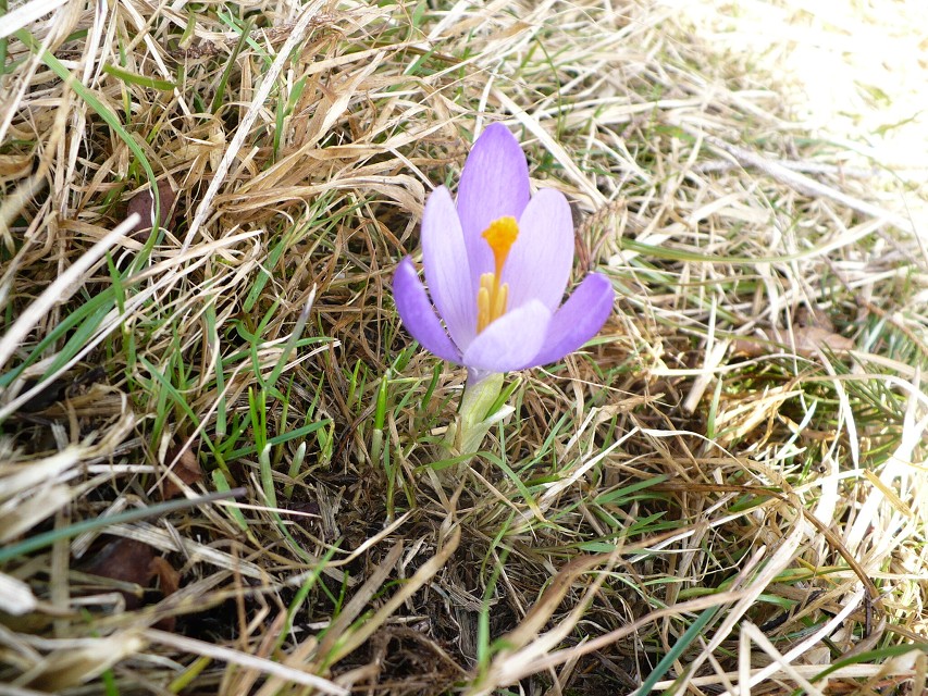 img00020.jpg