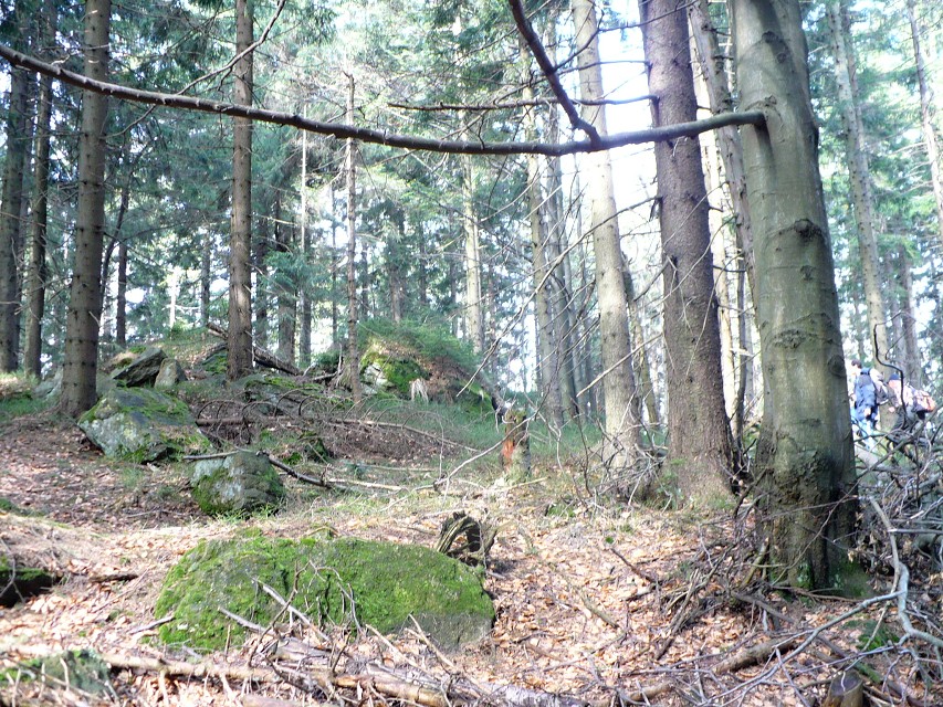 img00025.jpg