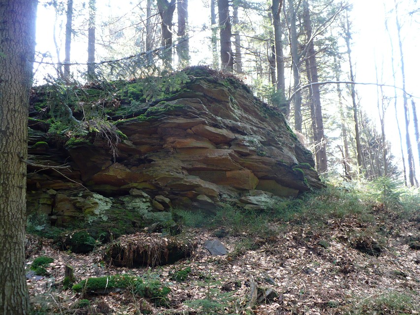 img00031.jpg