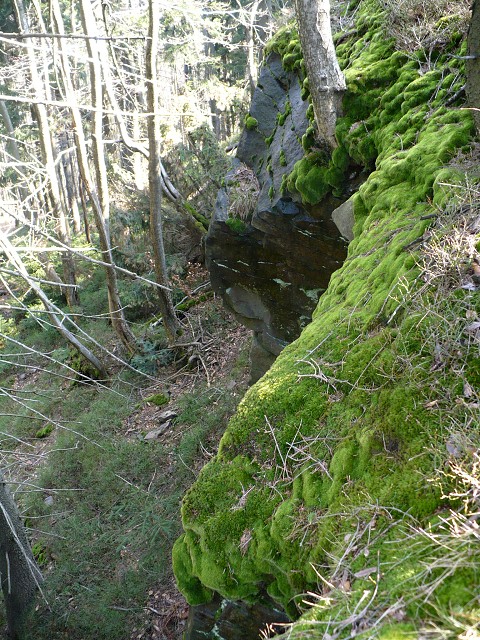 img00040.jpg