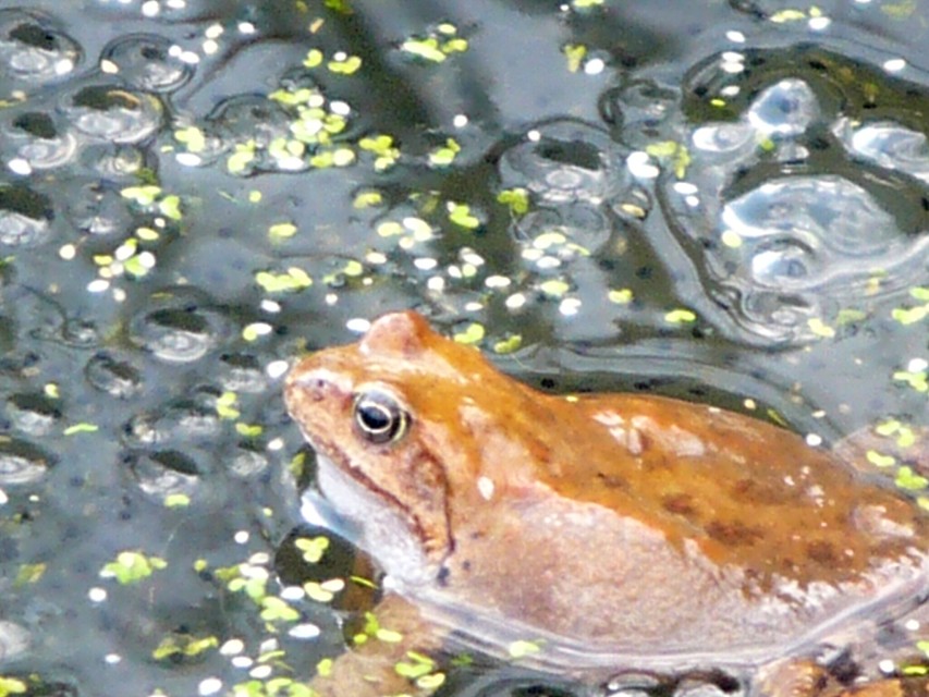 img00076.jpg