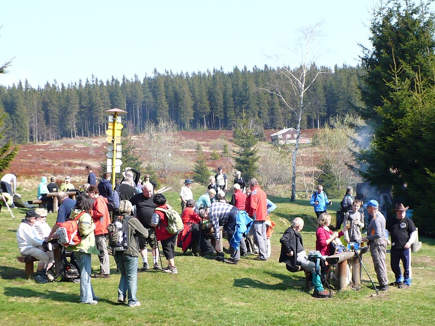 img00007.jpg