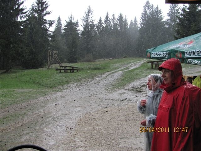 img00029.jpg
