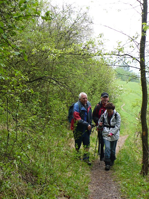 img00006.jpg