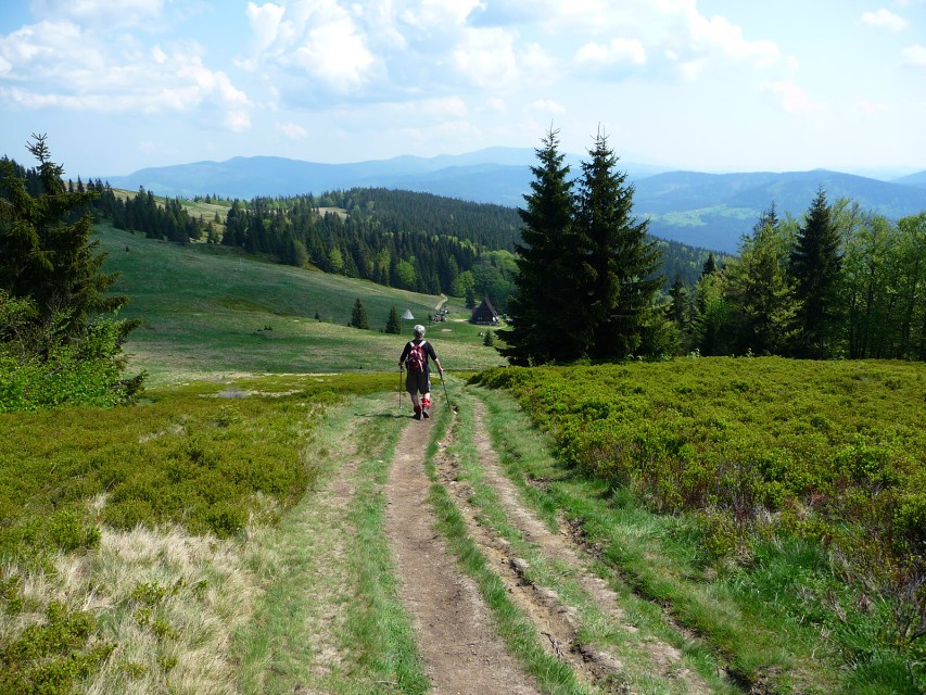 img00007.jpg