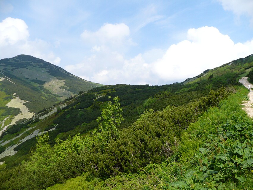 img00013.jpg