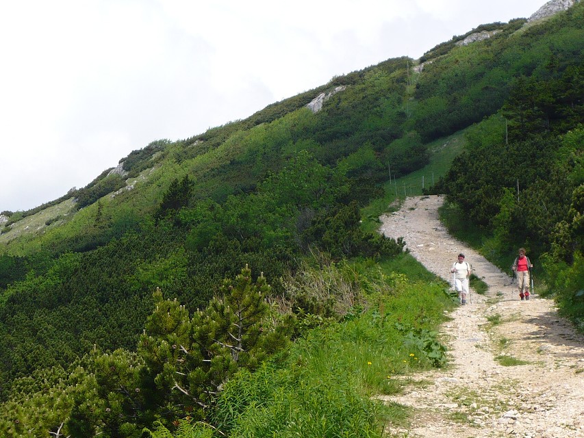 img00014.jpg