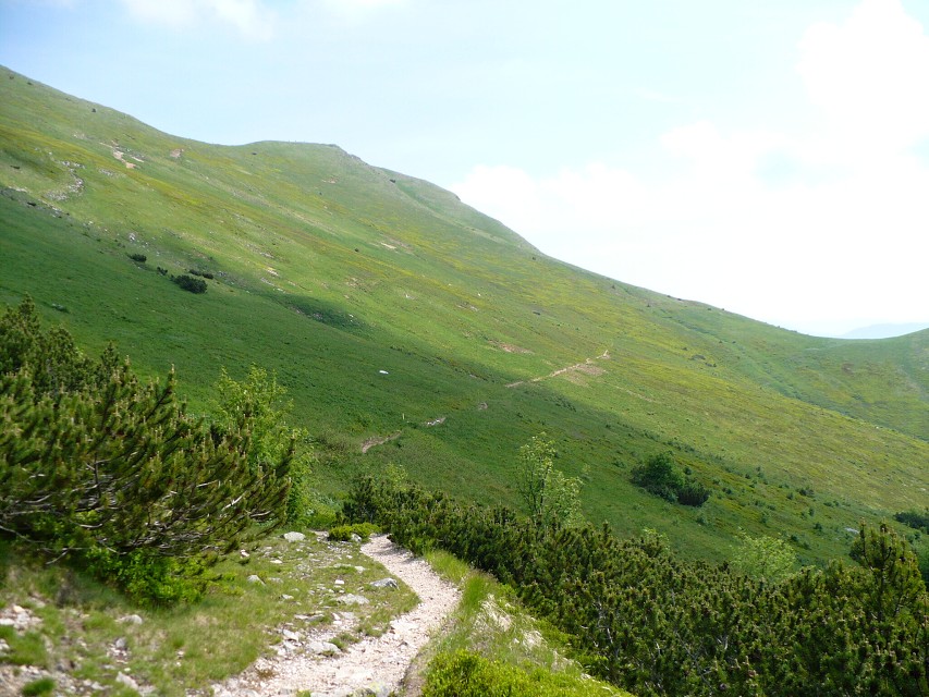 img00018.jpg