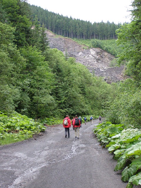 img00005.jpg