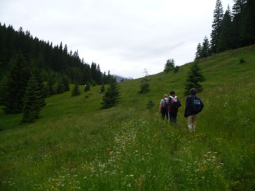 img00010.jpg