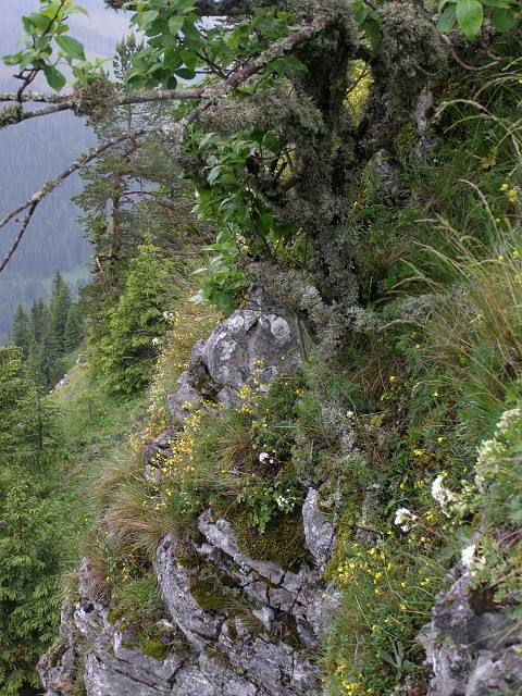 img00029.jpg