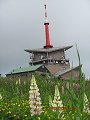 thn00015.jpg