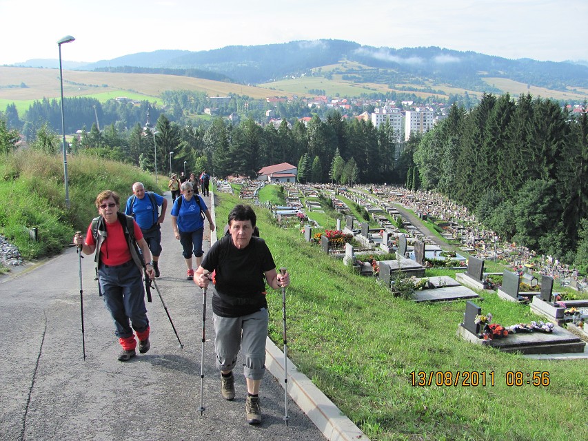 img00007.jpg