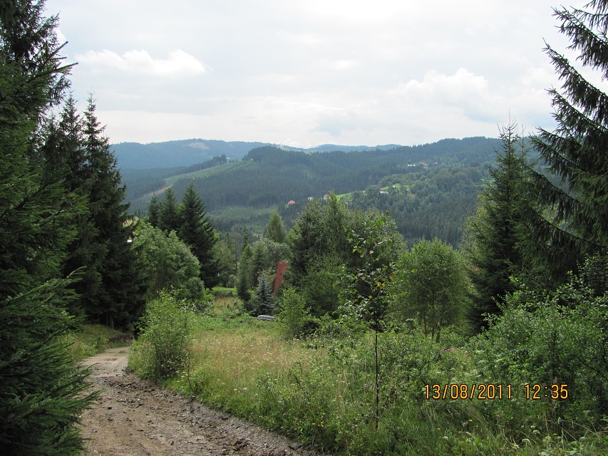 img00015.jpg