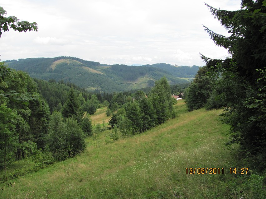 img00021.jpg