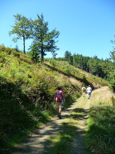 img00007.jpg