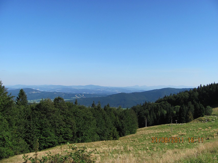 img00026.jpg