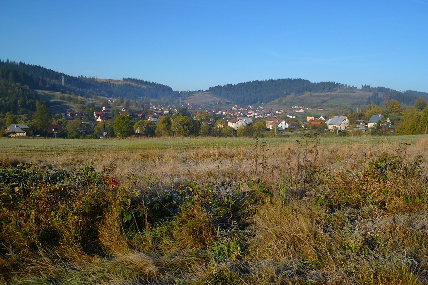 img00005.jpg