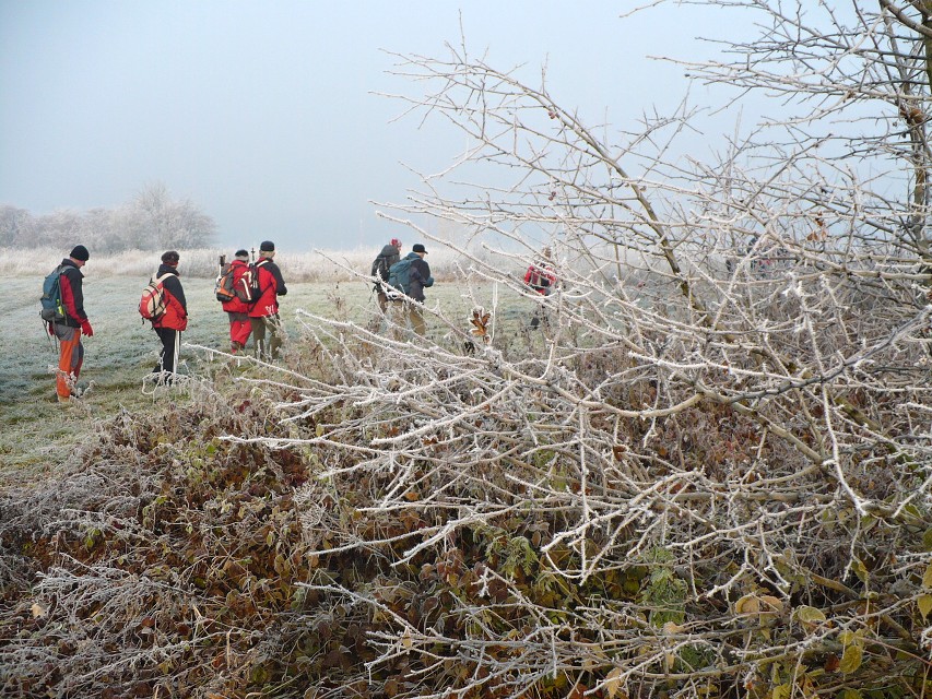 img00010.jpg