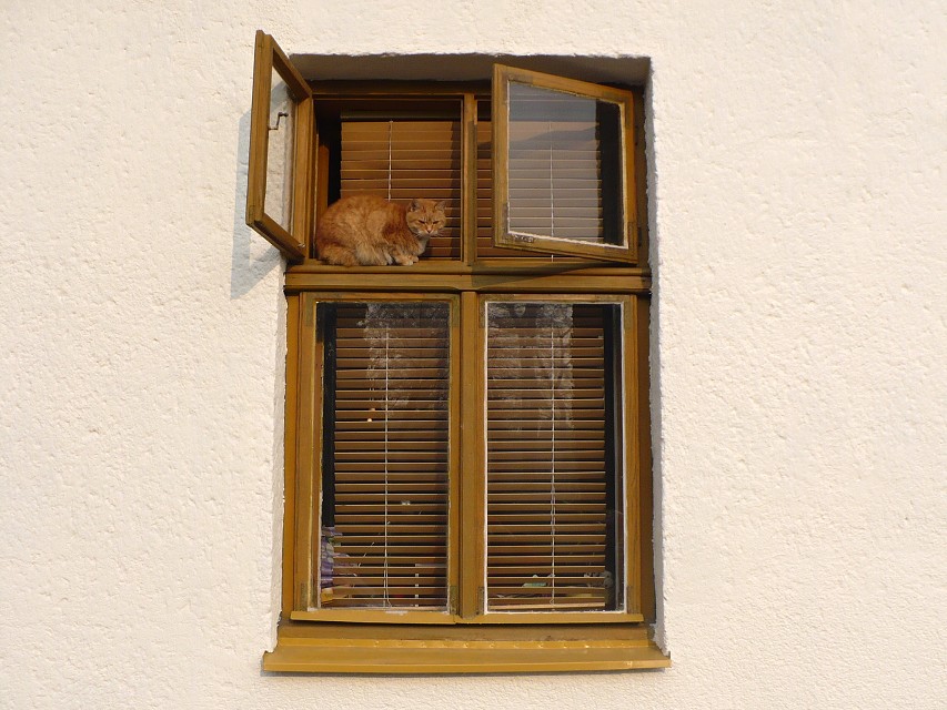 img00024.jpg