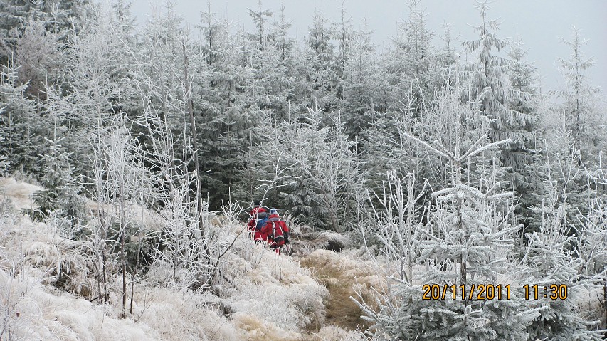 img00013.jpg