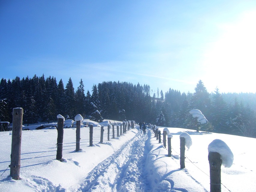 img00013.jpg