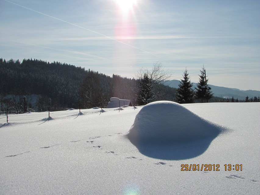 img00020.jpg