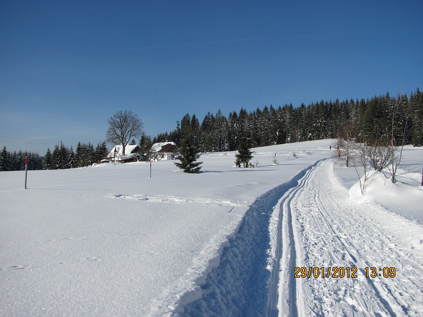 img00021.jpg