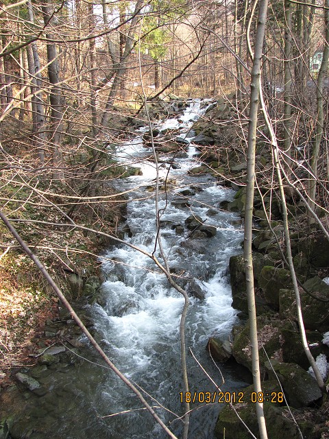 img00005.jpg