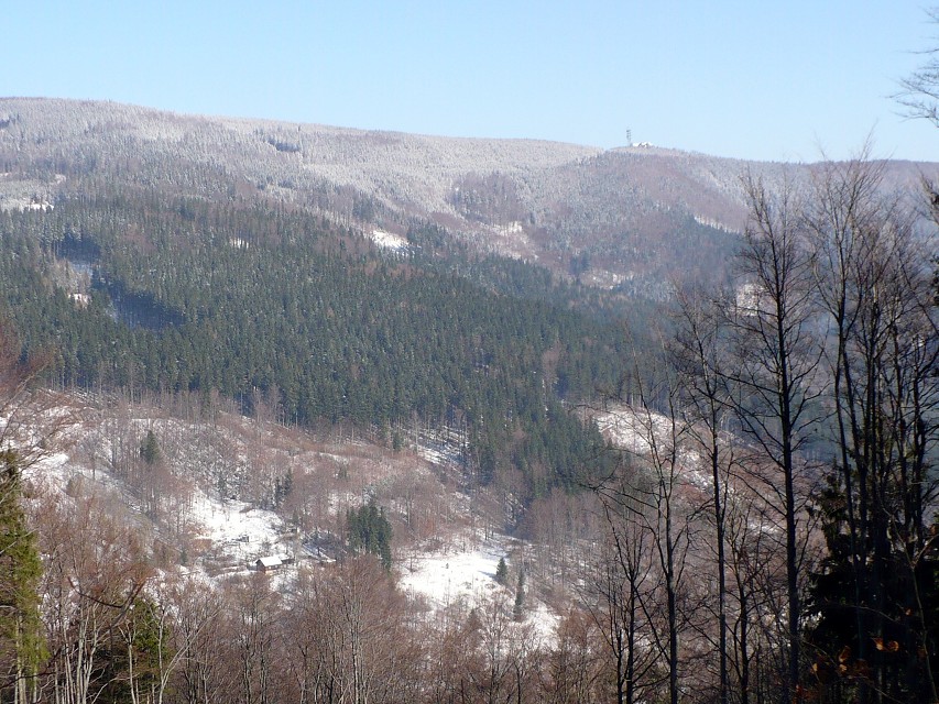 img00005.jpg