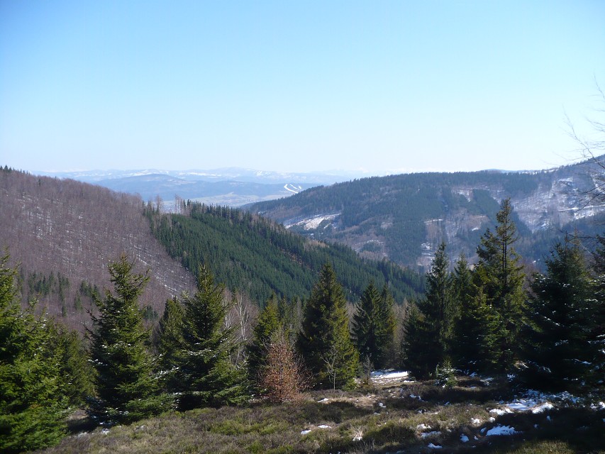 img00035.jpg