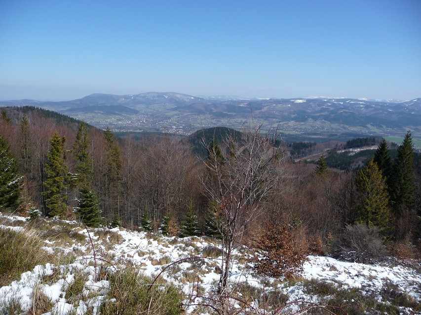 img00036.jpg