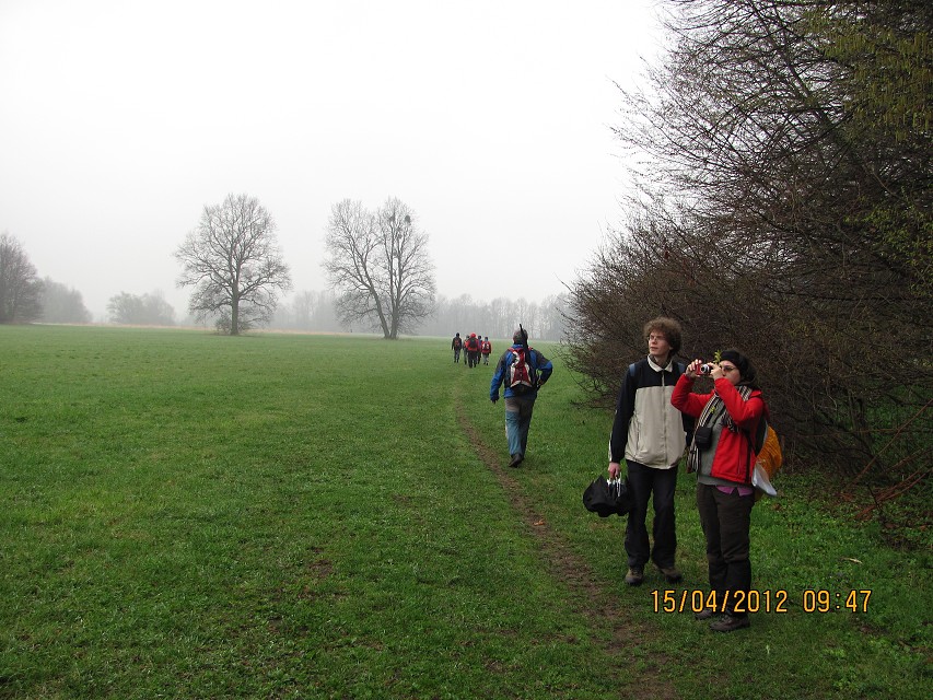 img00012.jpg