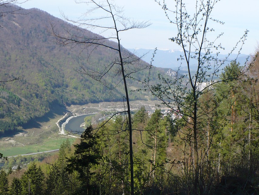 img00007.jpg