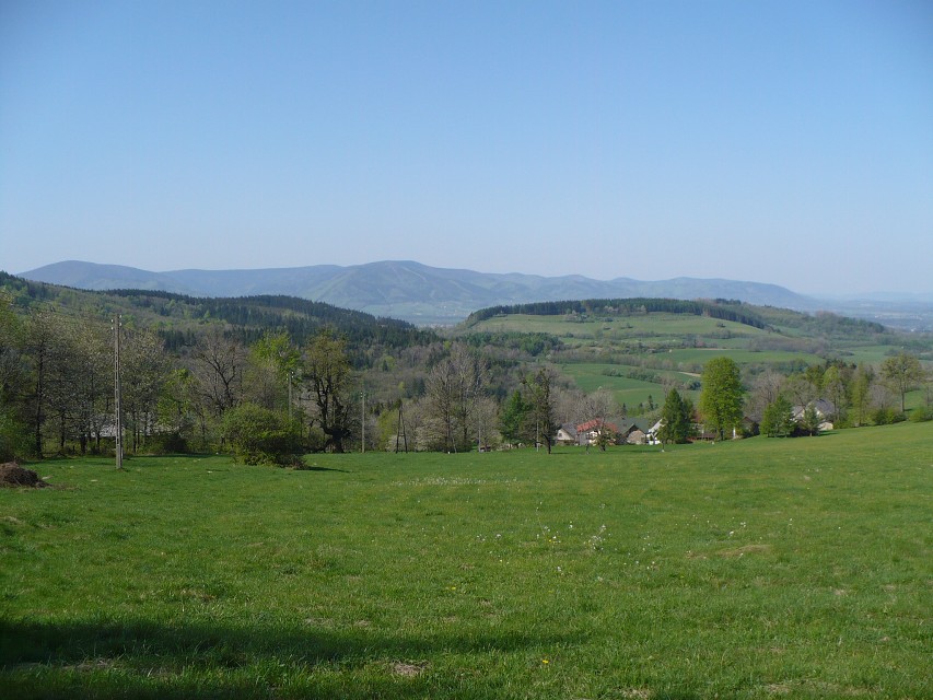 img00010.jpg