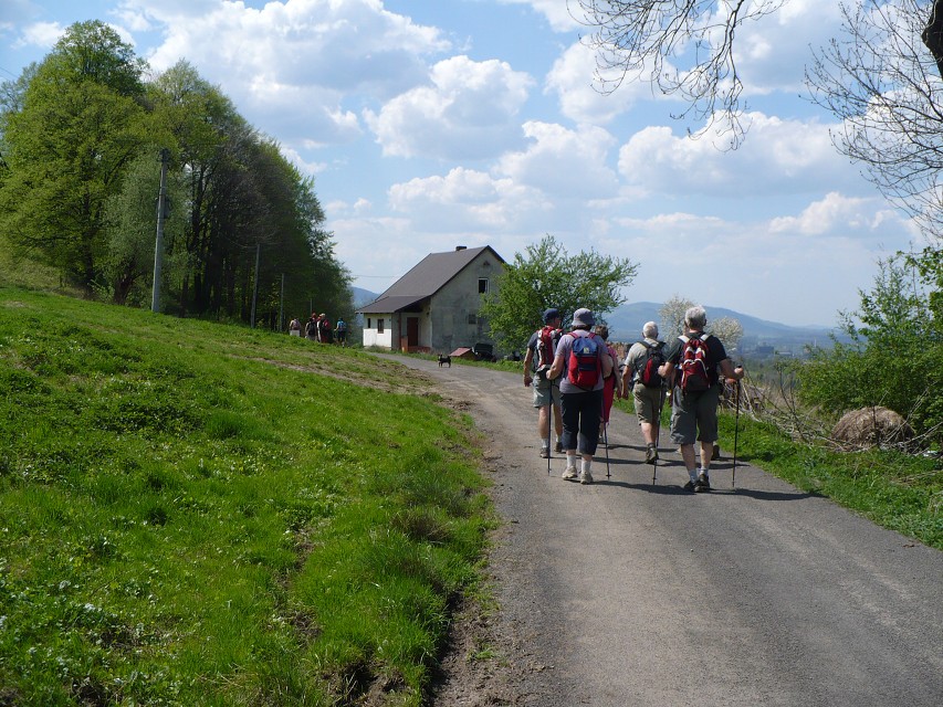 img00038.jpg