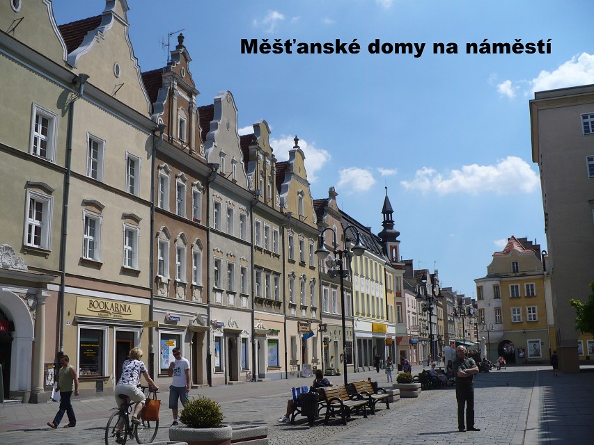 img00036.jpg
