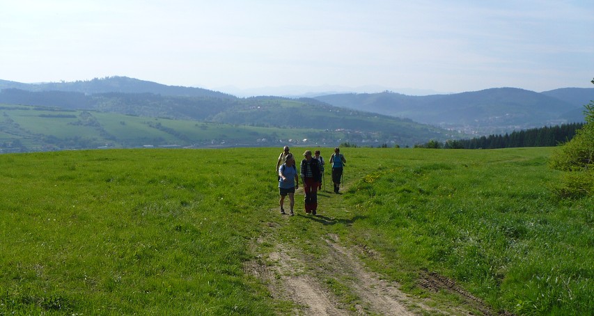 img00007.jpg