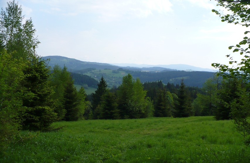 img00010.jpg