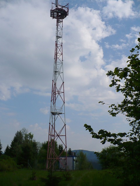 img00012.jpg