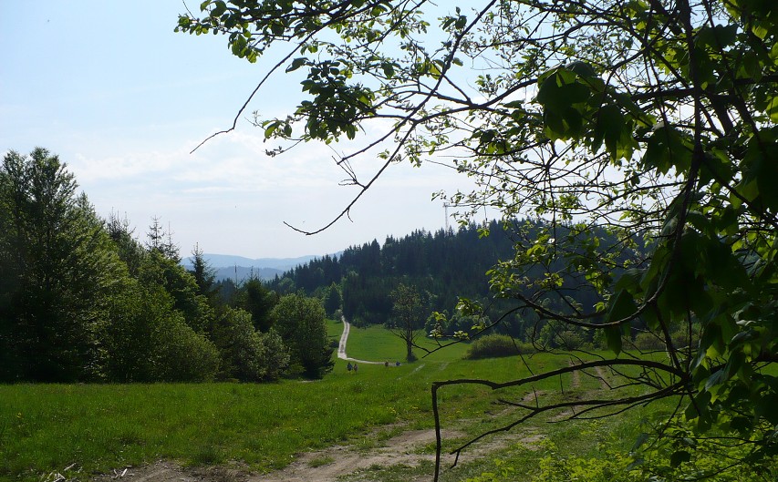 img00016.jpg
