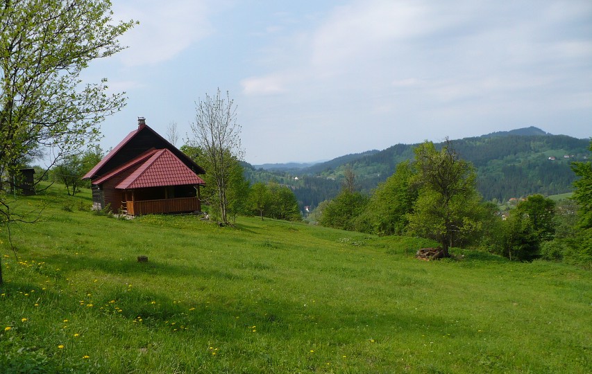 img00018.jpg