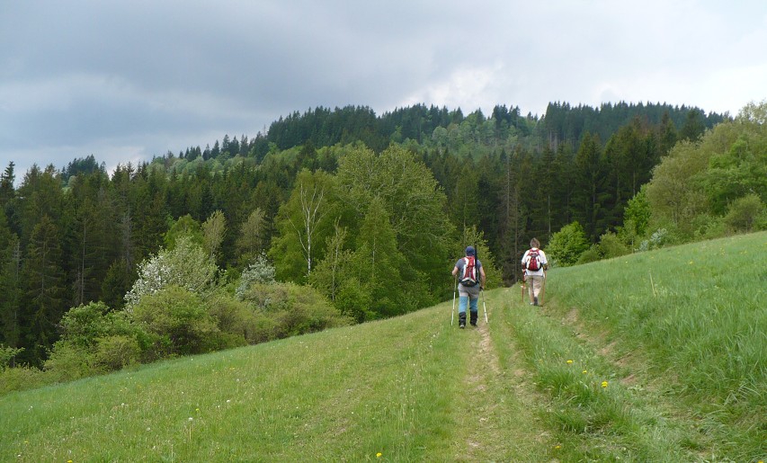 img00025.jpg