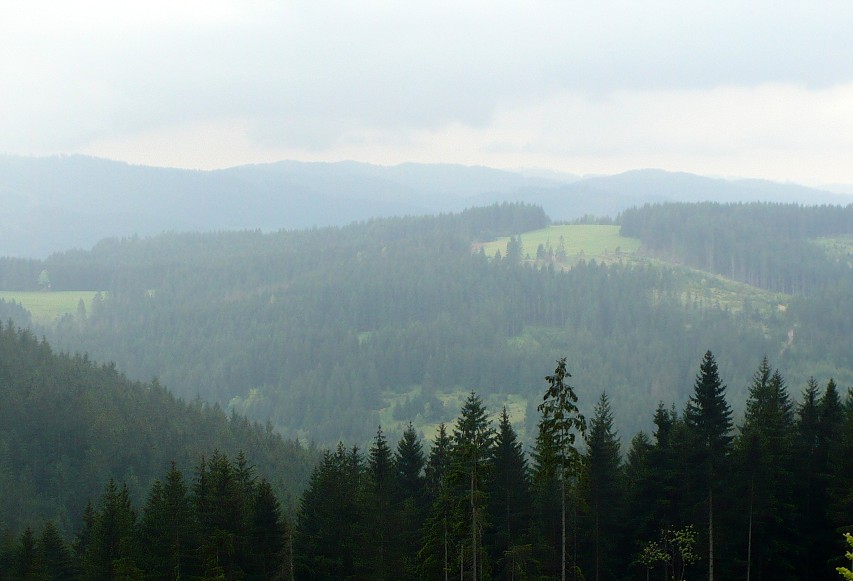 img00029.jpg