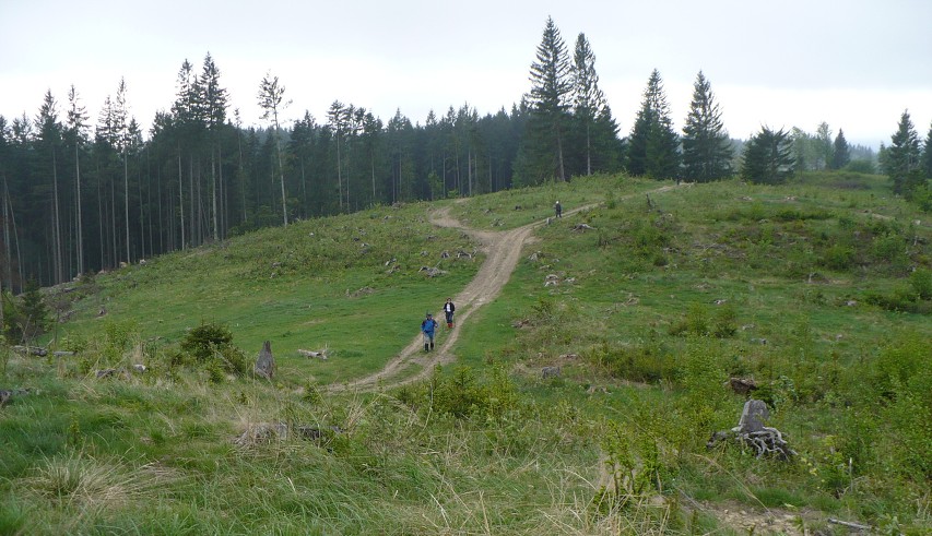img00030.jpg